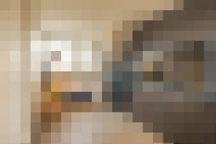 Witte Ring 80 Assendelft thumbnail 34