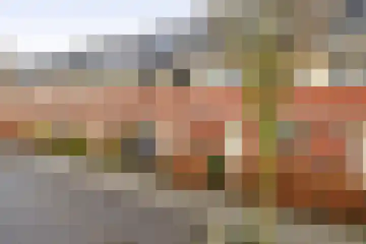 Witte Ring 80 Assendelft thumbnail 5