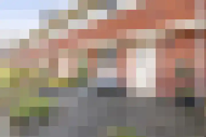 Witte Ring 80 Assendelft thumbnail 8