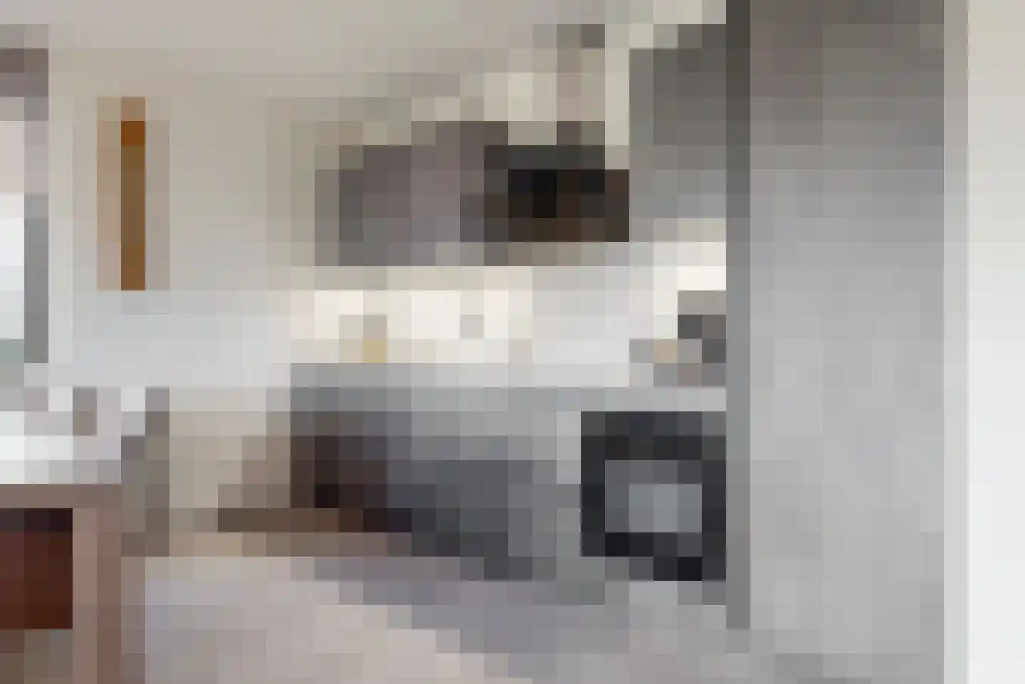 Witte Ring 9 D Assendelft thumbnail 14