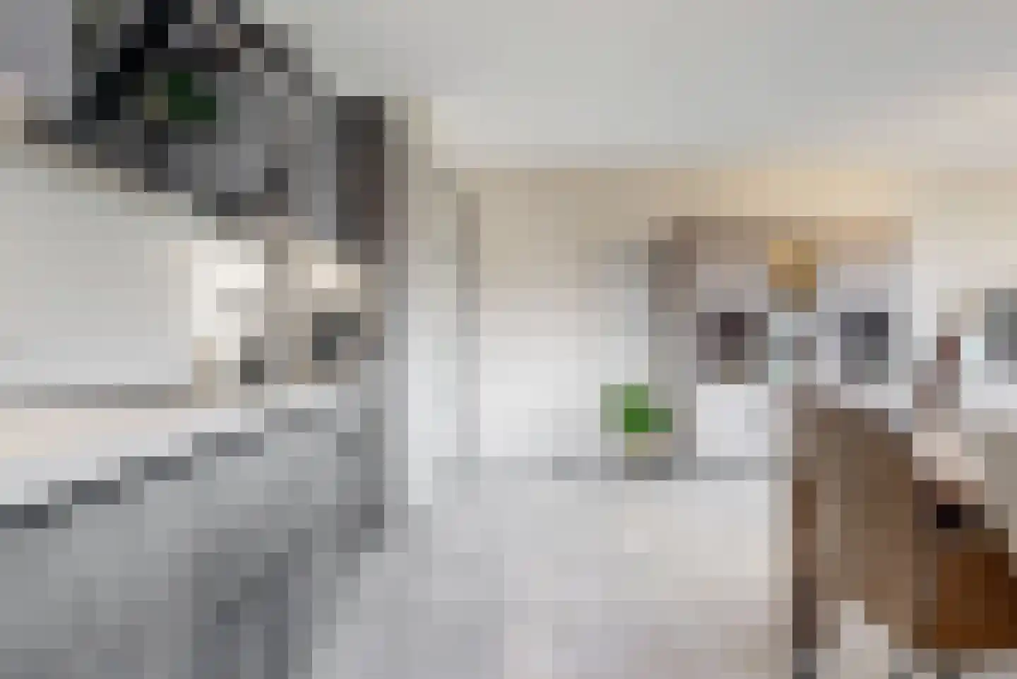 Witte Ring 9 D Assendelft thumbnail 17