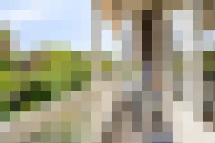 Witte Singel 100 Leiden thumbnail 26