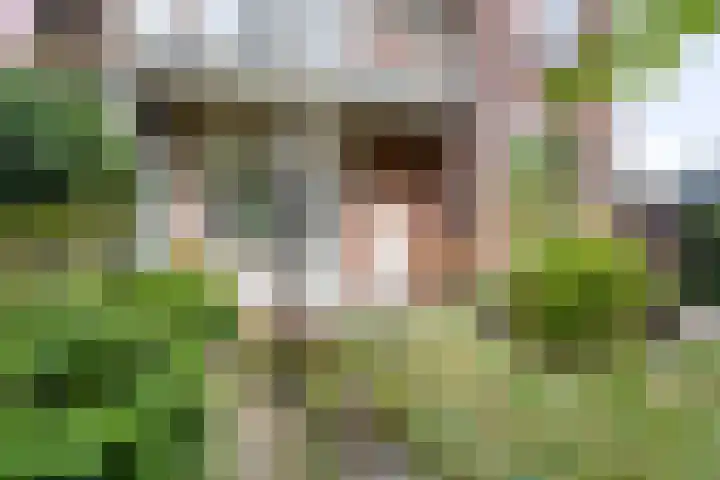 Witte Singel 100 Leiden thumbnail 41
