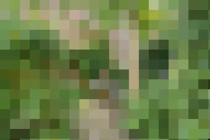 Witte Singel 100 Leiden thumbnail 42