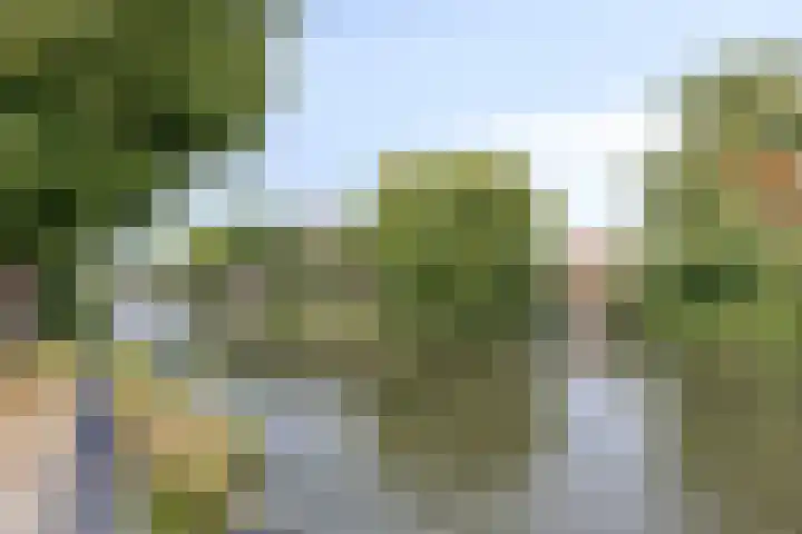 Witte Singel 100 Leiden thumbnail 49