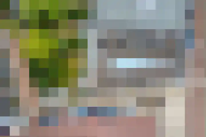 Witte Singel 100 Leiden thumbnail 50