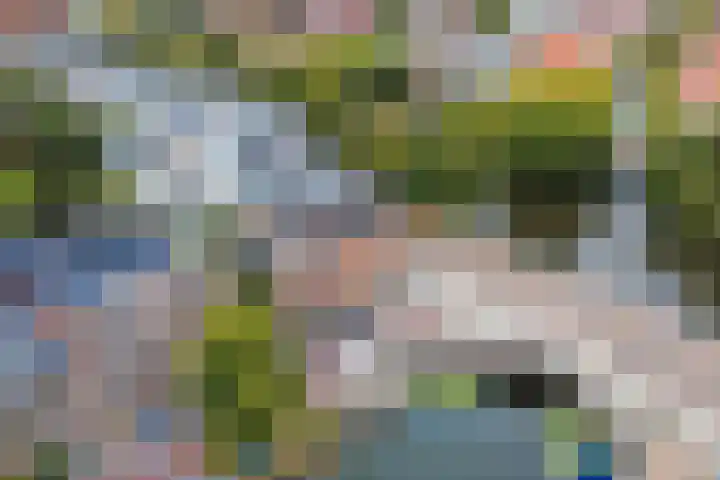 Witte Singel 100 Leiden thumbnail 52