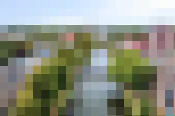 Witte Singel 100 Leiden thumbnail 54