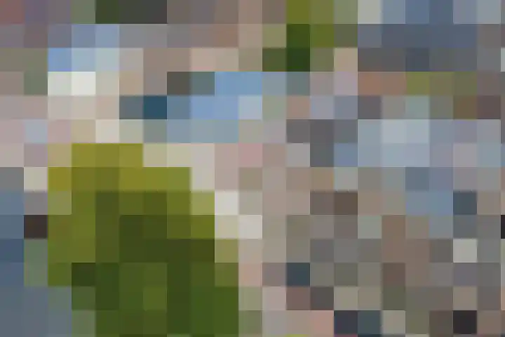 Witte Singel 100 Leiden thumbnail 55