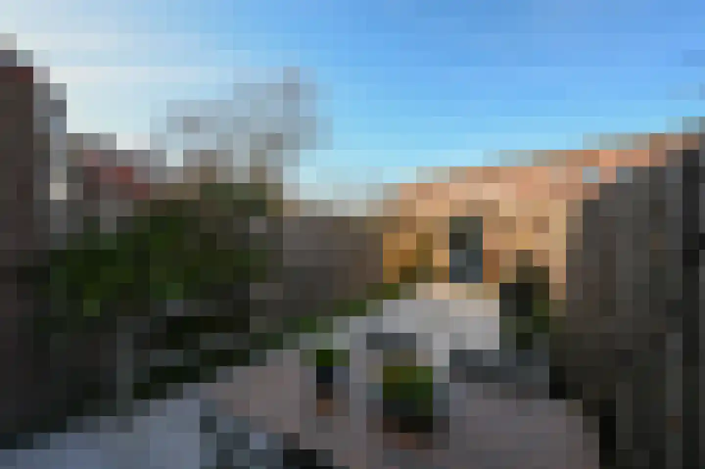 Witte Singel 17 Leiden thumbnail 13
