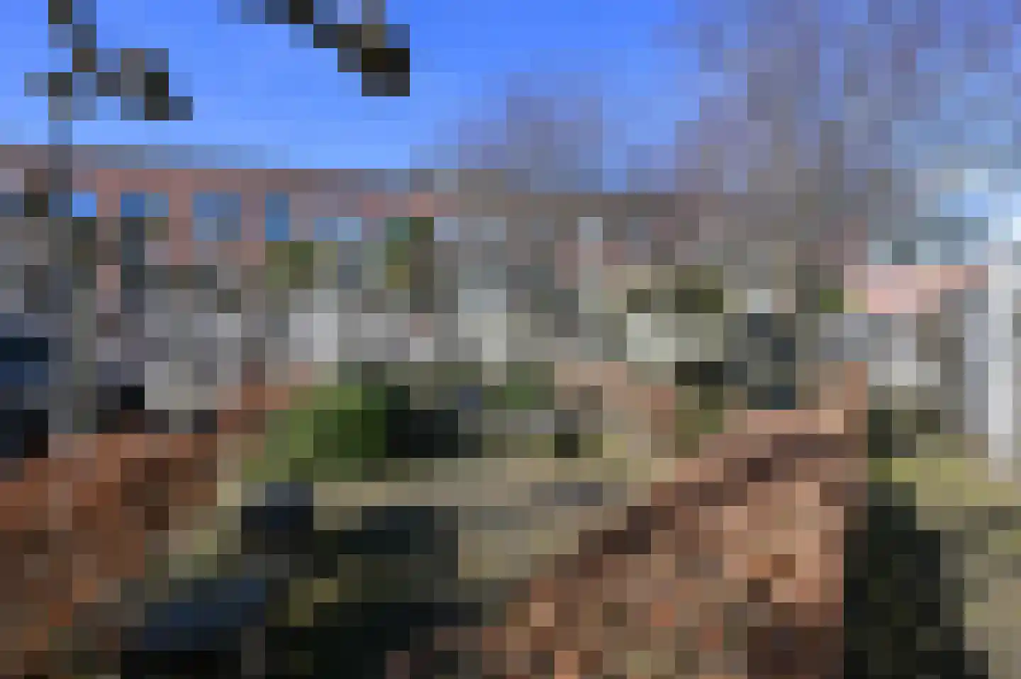 Witte Singel 17 Leiden thumbnail 17