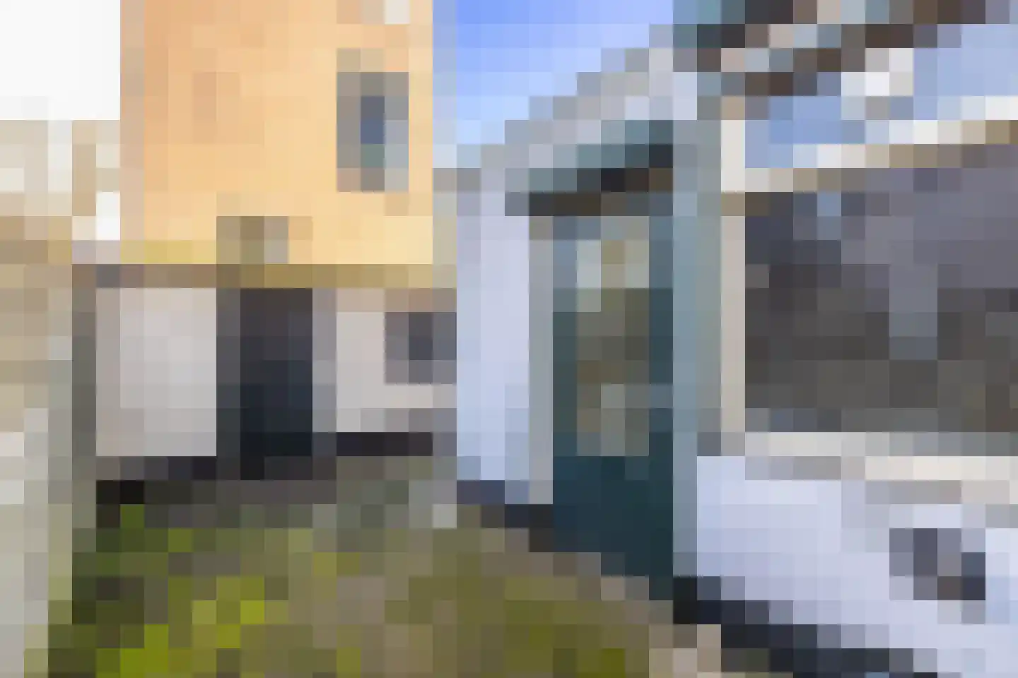 Witte Singel 42 Leiden thumbnail 19