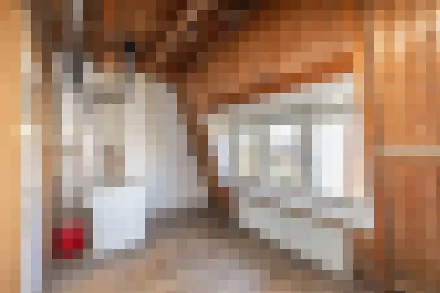 Witte Singel 42 Leiden thumbnail 40
