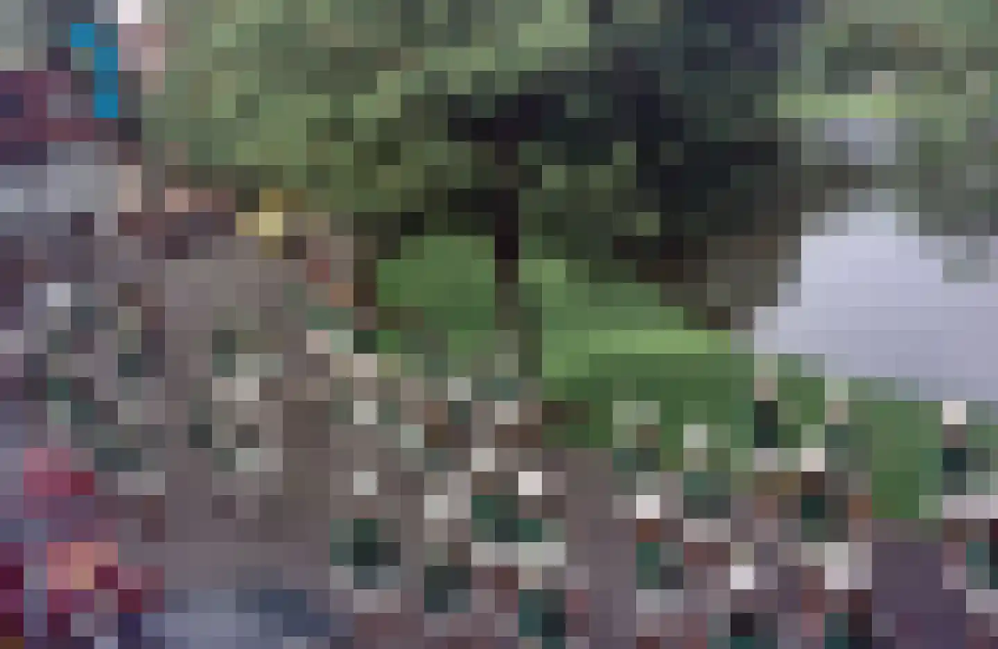 Witte Singel 42 Leiden thumbnail 64