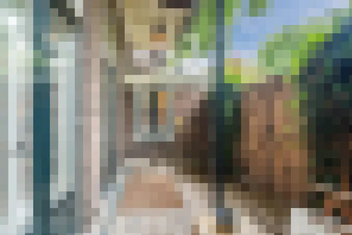 Witte Singel 77 Leiden thumbnail 17