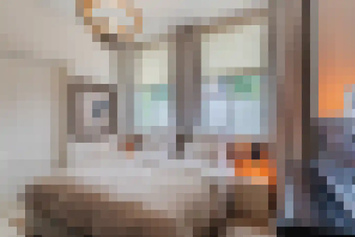 Witte Singel 77 Leiden thumbnail 25