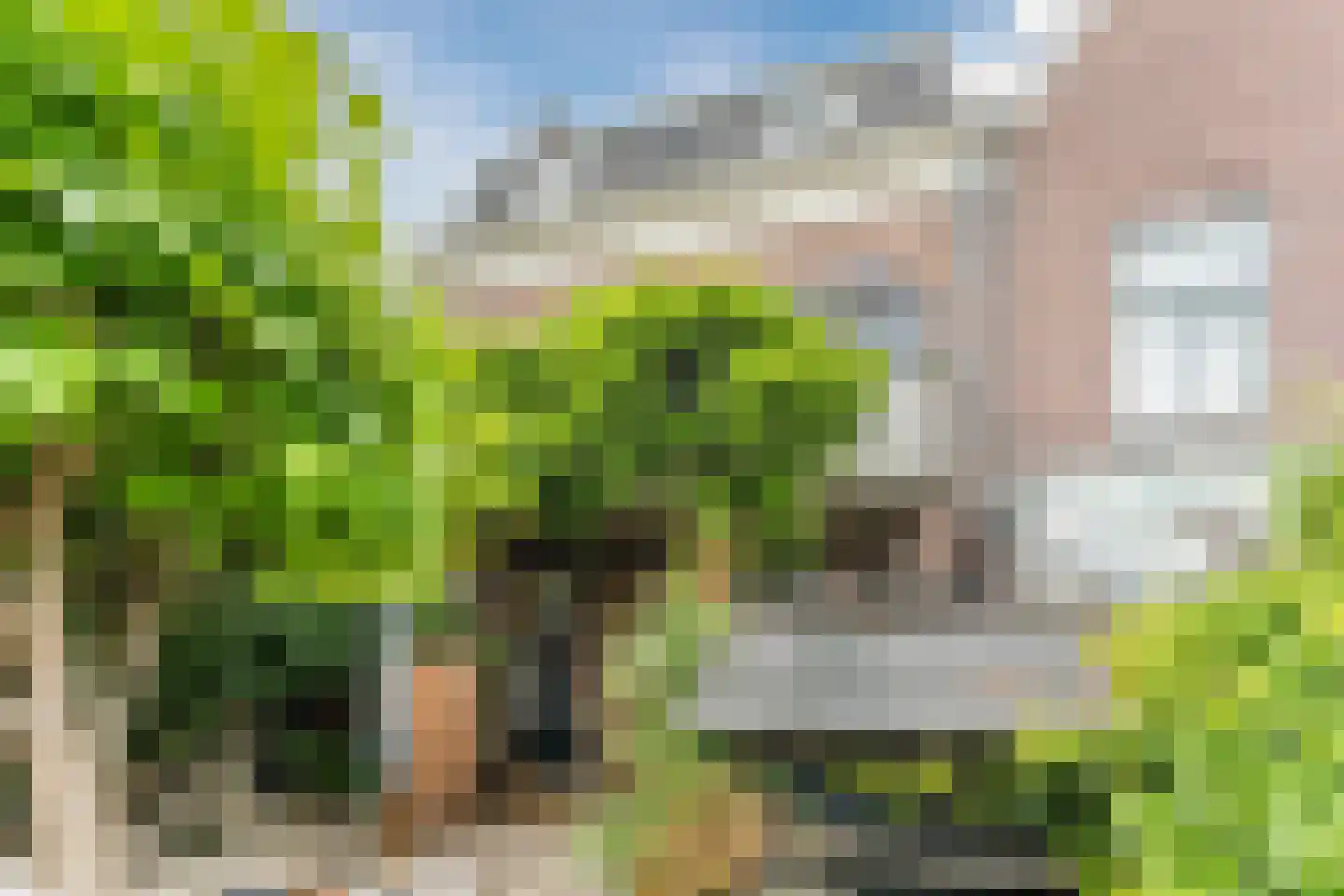 Witte Singel 77 Leiden thumbnail 34