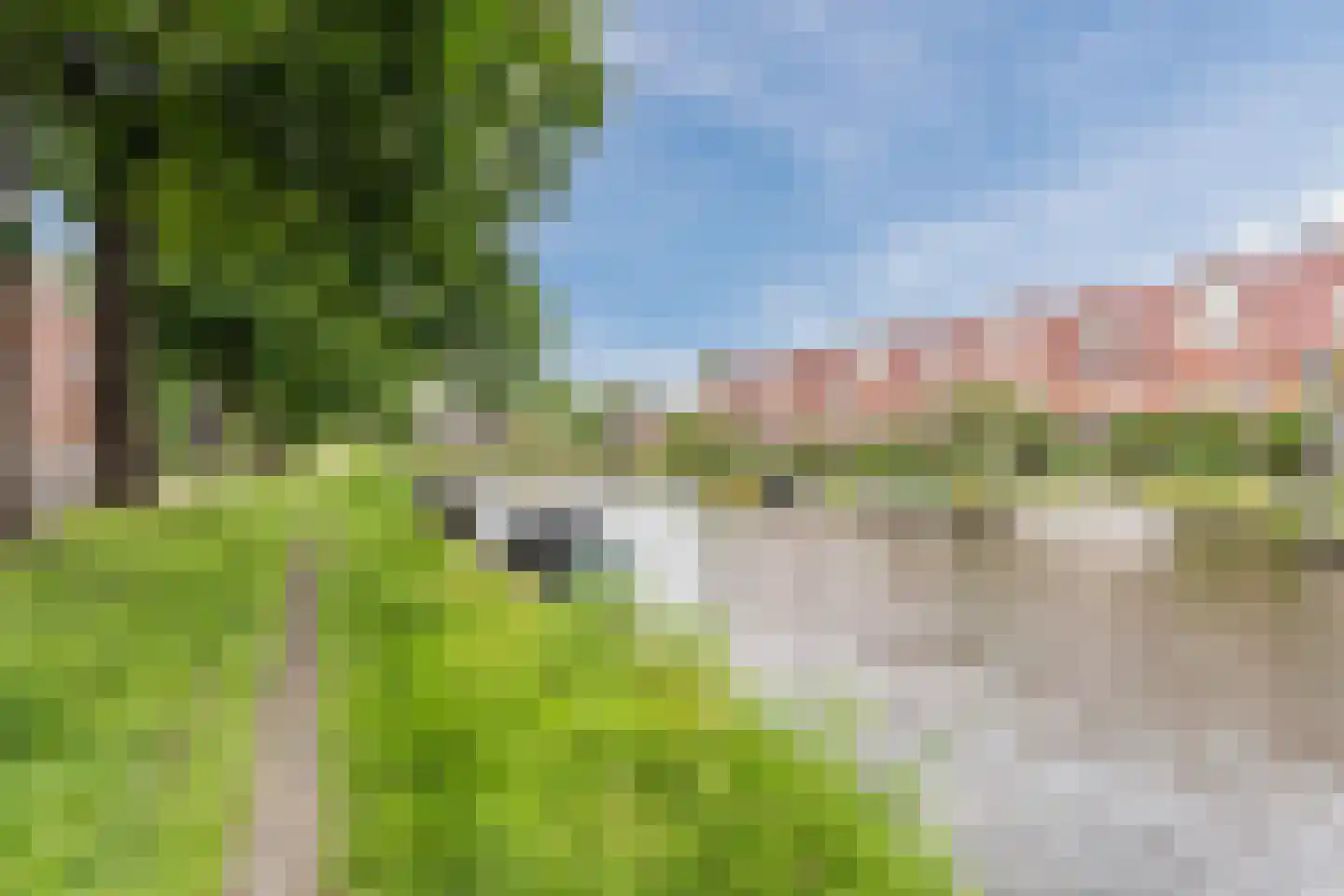 Witte Singel 77 Leiden thumbnail 37