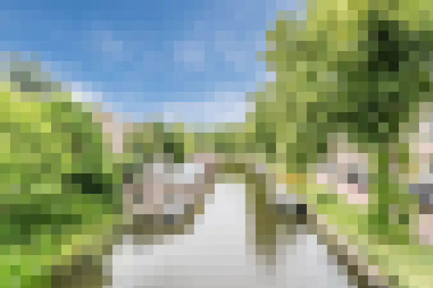 Witte Singel 77 Leiden thumbnail 39