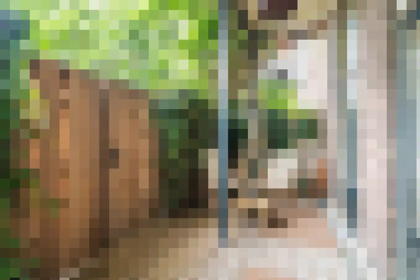 Witte Singel 77 Leiden thumbnail 4