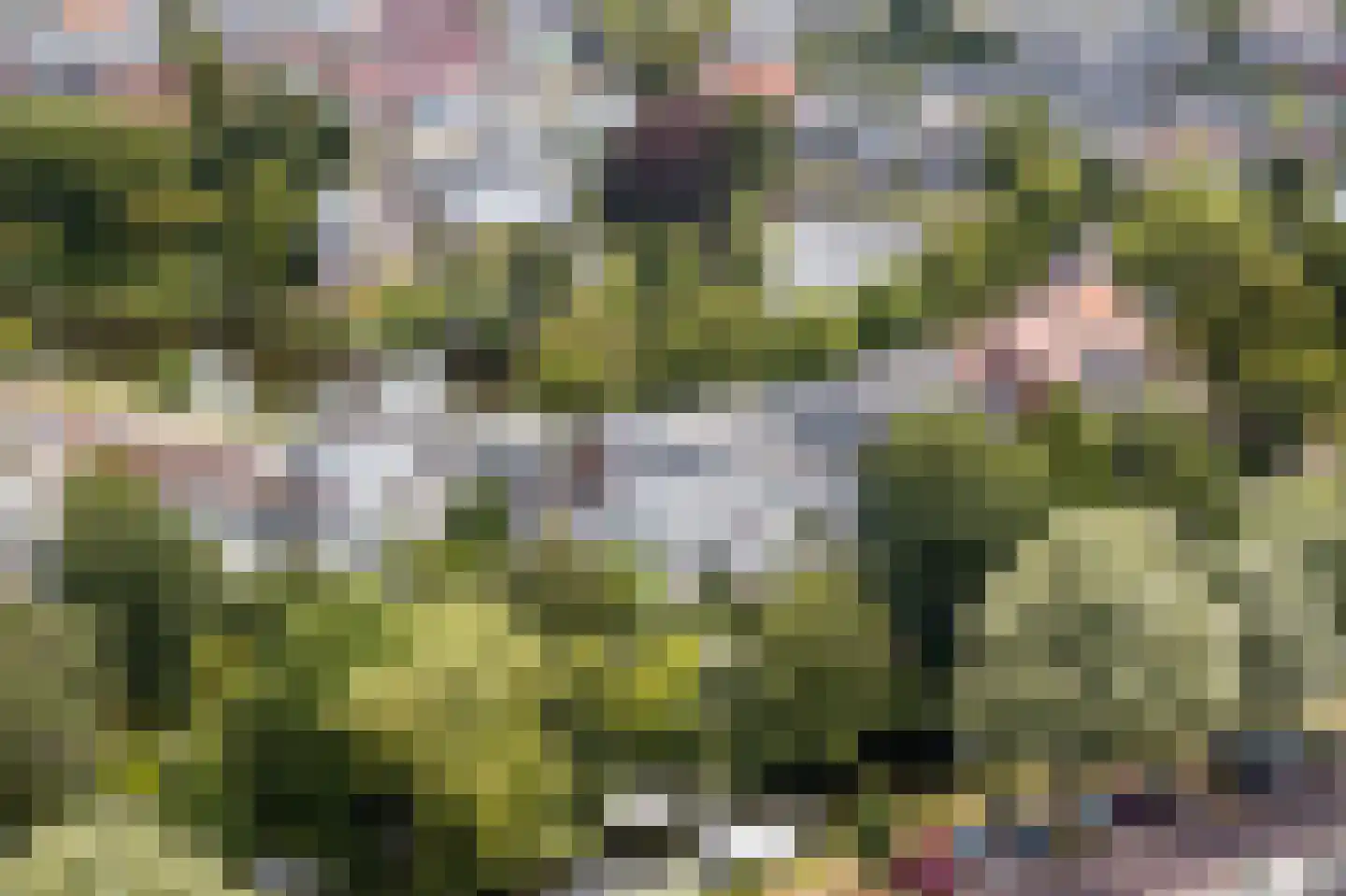 Witte Singel 77 Leiden thumbnail 44
