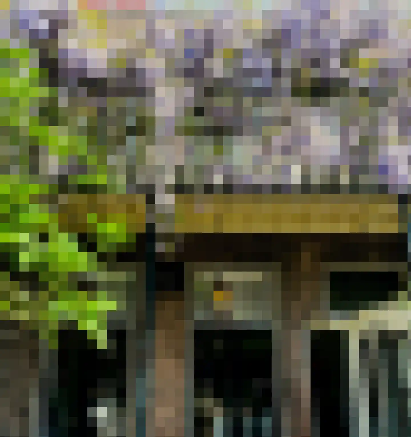 Witte Singel 77 Leiden thumbnail 45