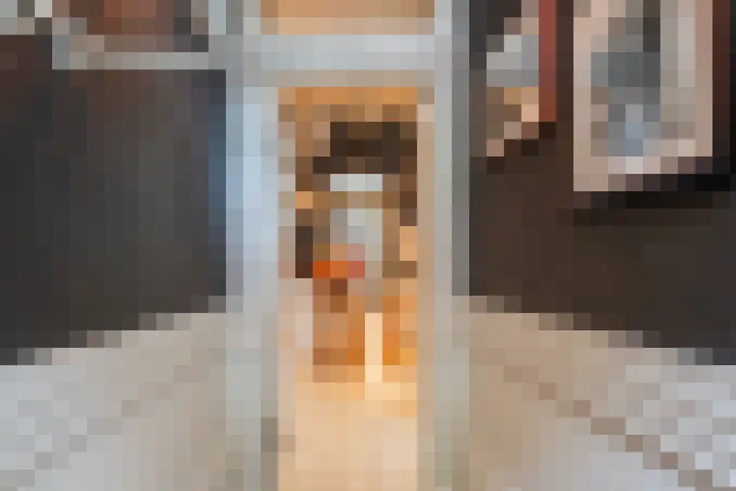 Witte Singel 77 Leiden thumbnail 7