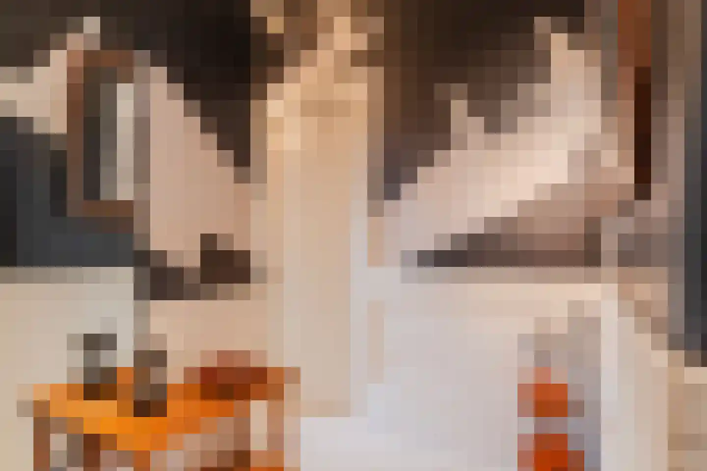 Witte Singel 77 Leiden thumbnail 9