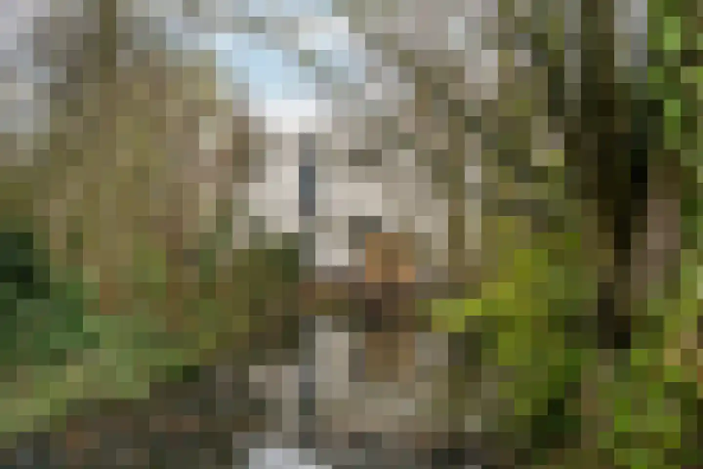 Witte Spaanstraat 25 Rotterdam thumbnail 6