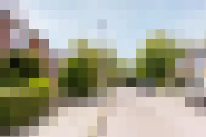 Witte Valkstraat 7 Andijk thumbnail 10