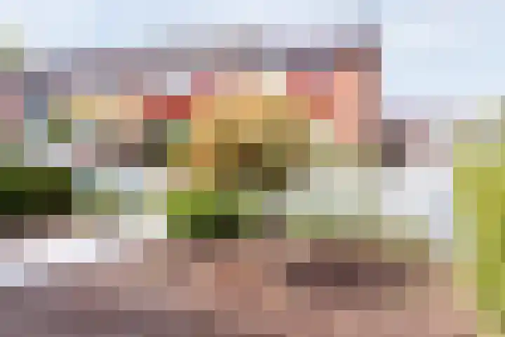 Witte Valkstraat 7 Andijk thumbnail 11