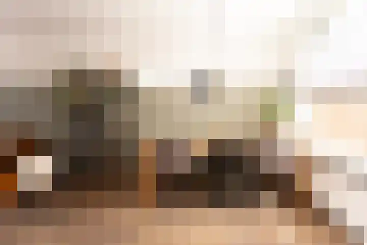 Witte Valkstraat 7 Andijk thumbnail 19