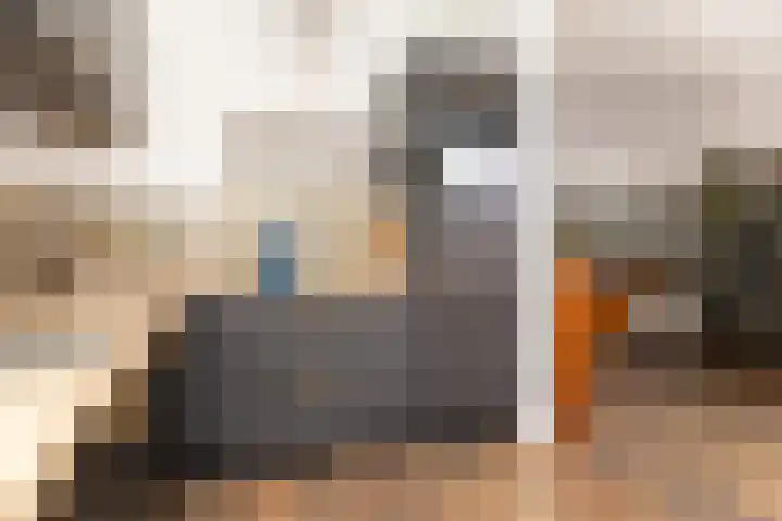 Witte Valkstraat 7 Andijk thumbnail 20