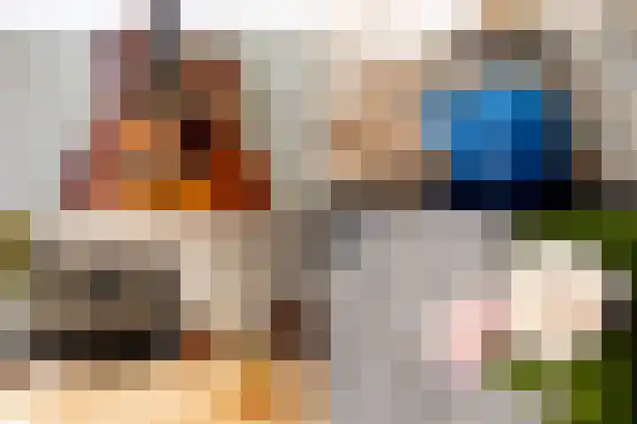 Witte Valkstraat 7 Andijk thumbnail 25