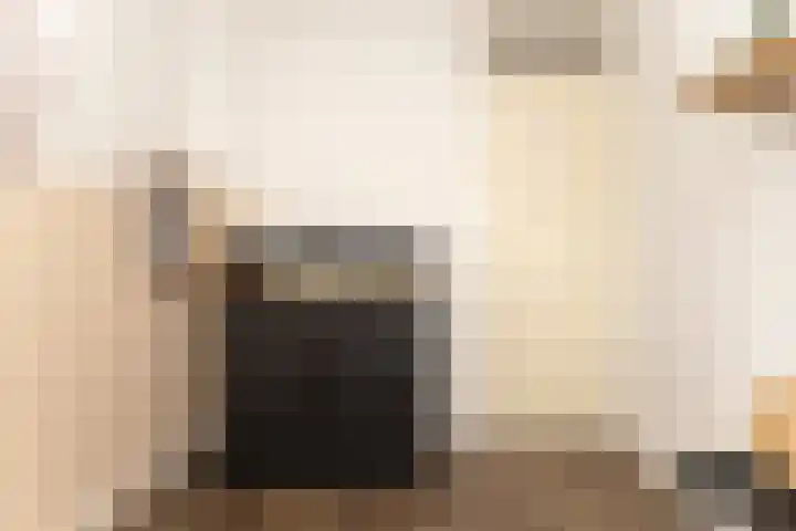 Witte Valkstraat 7 Andijk thumbnail 28