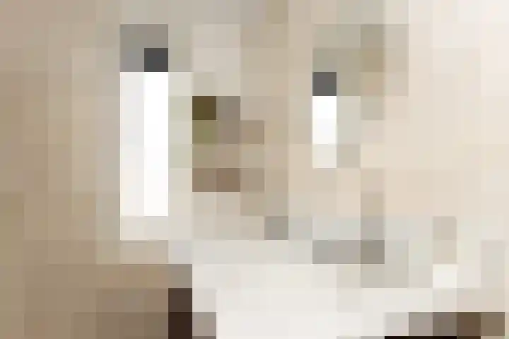 Witte Valkstraat 7 Andijk thumbnail 36