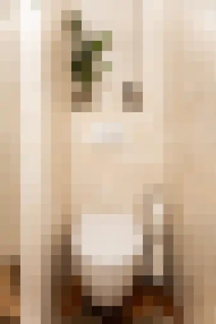 Witte Valkstraat 7 Andijk thumbnail 38