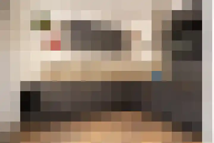 Witte Valkstraat 7 Andijk thumbnail 4