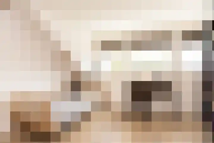Witte Valkstraat 7 Andijk thumbnail 41