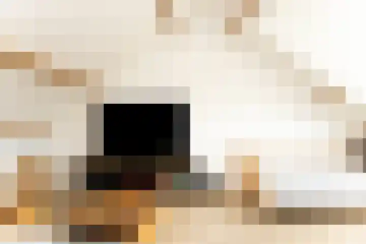Witte Valkstraat 7 Andijk thumbnail 42