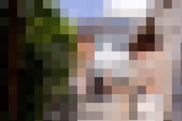 Witte Valkstraat 7 Andijk thumbnail 47