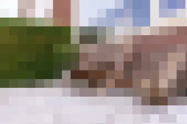 Witte Valkstraat 7 Andijk thumbnail 48
