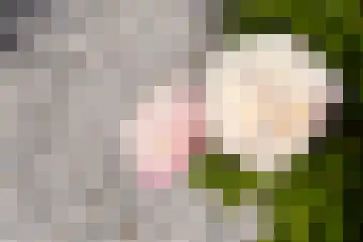 Witte Valkstraat 7 Andijk thumbnail 49
