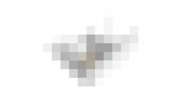 Witte Valkstraat 7 Andijk thumbnail 53