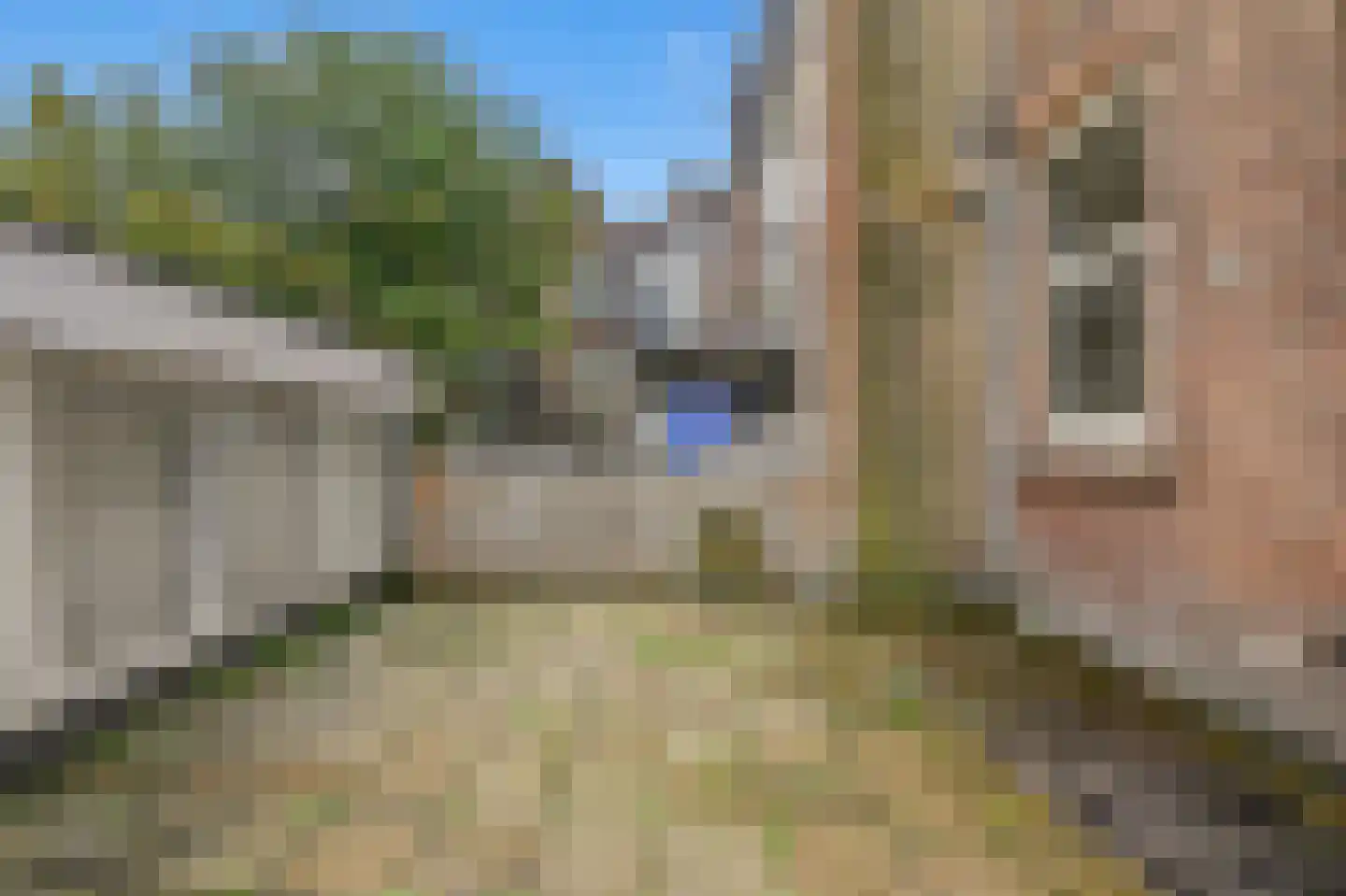 Witte van Haemstedestraat 34 C 01 Rotterdam thumbnail 14