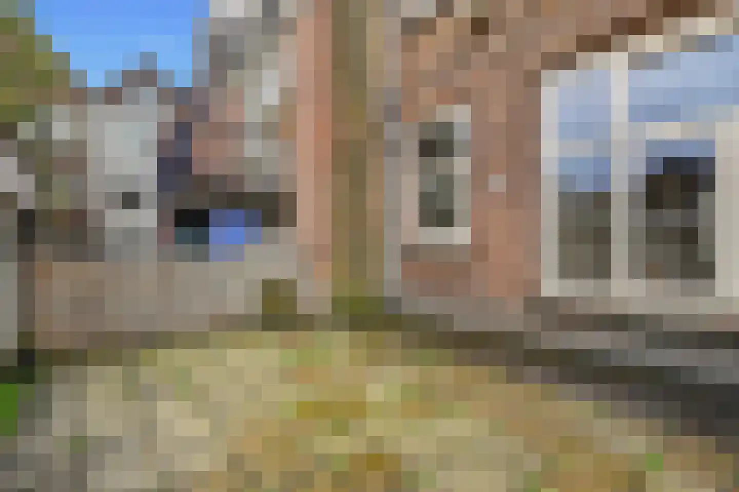 Witte van Haemstedestraat 34 C 01 Rotterdam thumbnail 4