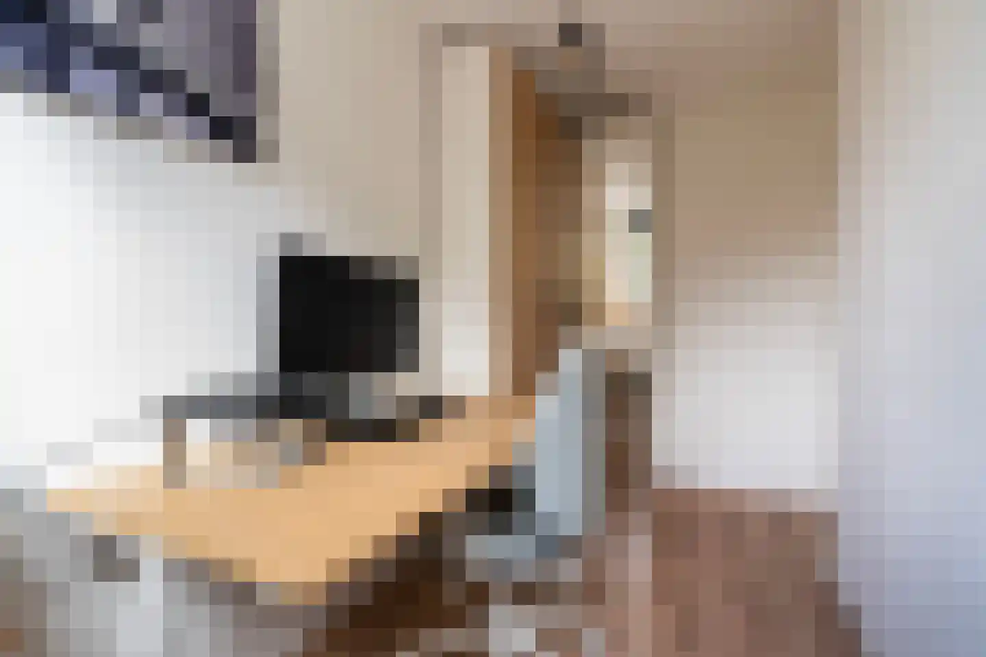Witte van Haemstedestraat 5 B Rotterdam thumbnail 19