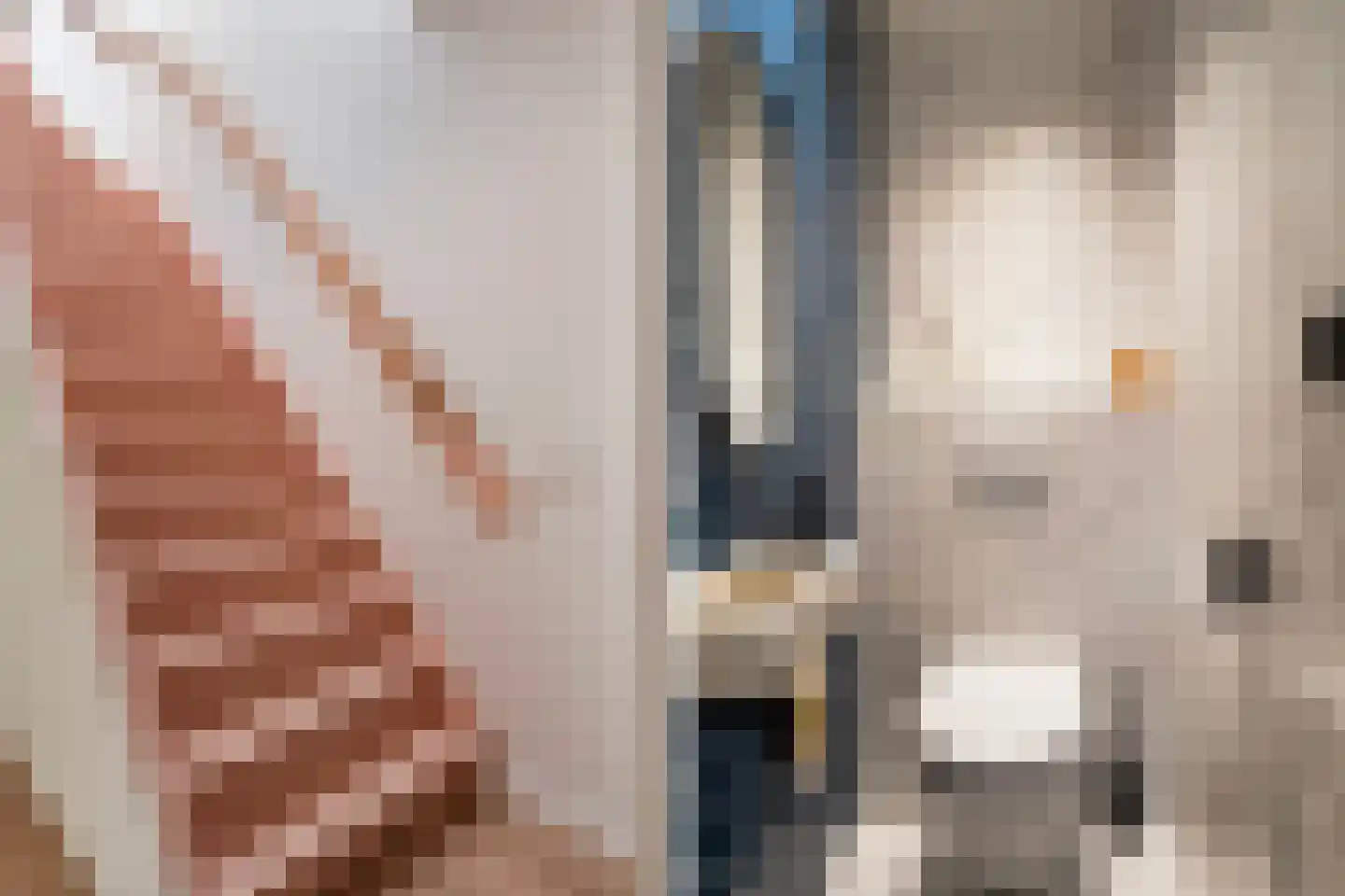 Witte van Haemstedestraat 5 B Rotterdam thumbnail 21