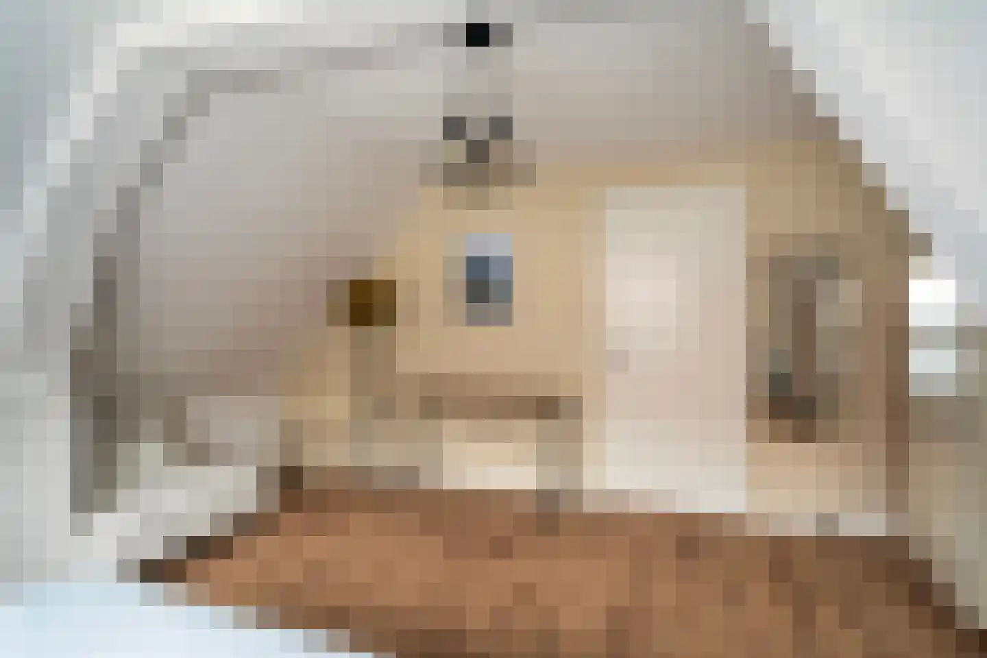 Witte van Haemstedestraat 5 B Rotterdam thumbnail 24