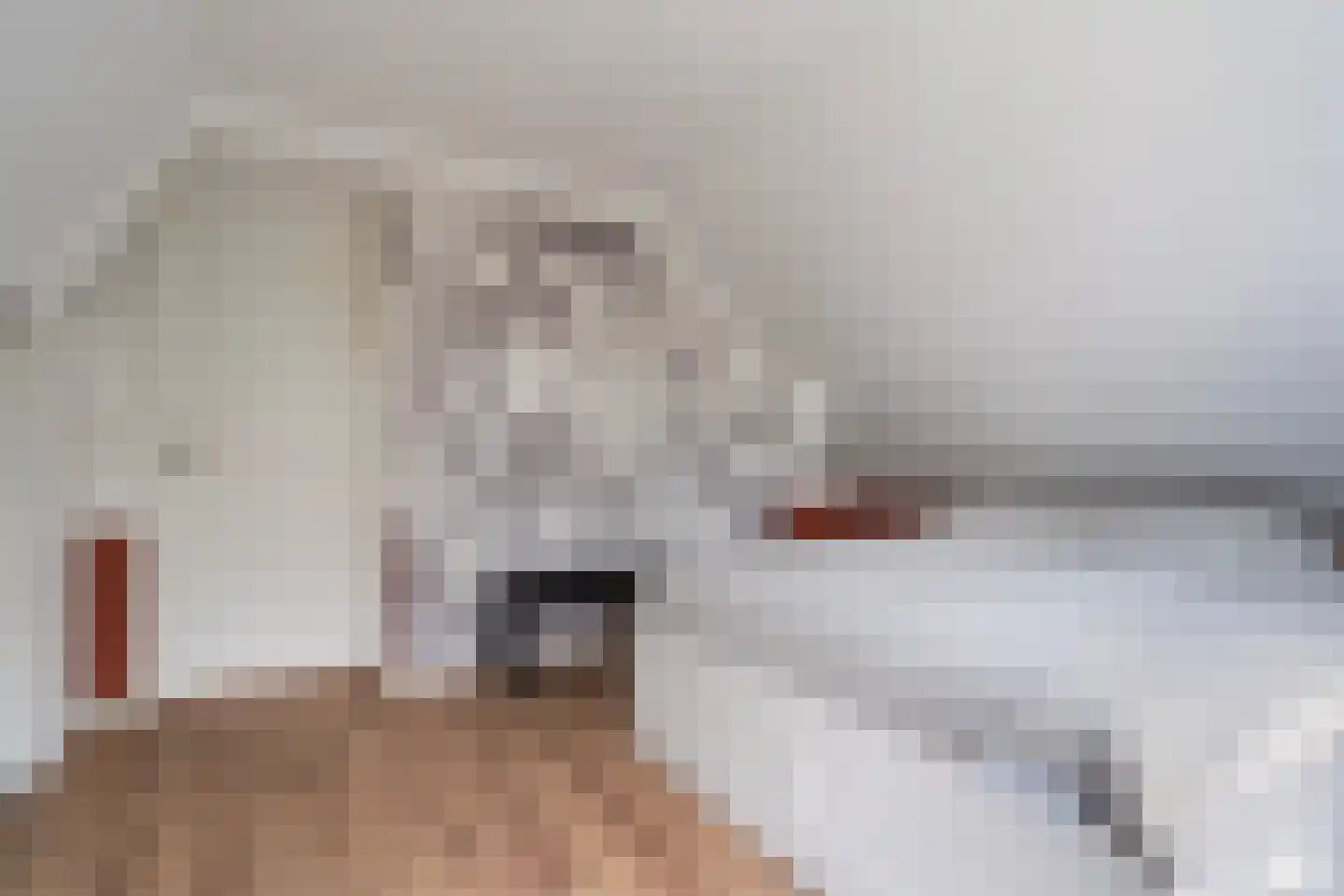 Witte van Haemstedestraat 5 B Rotterdam thumbnail 26